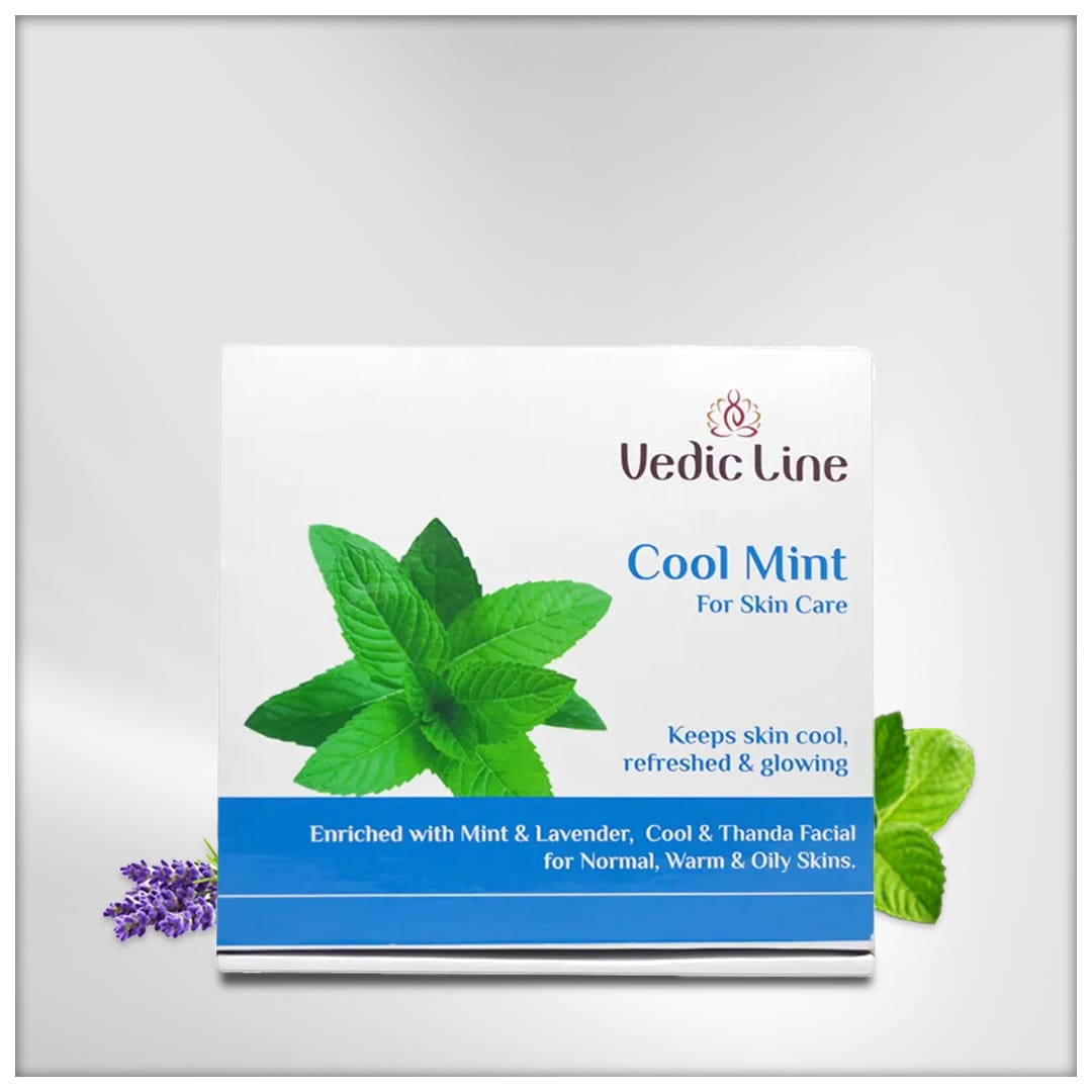 Vedic Line Cool Mint Facial Kit (400ml)